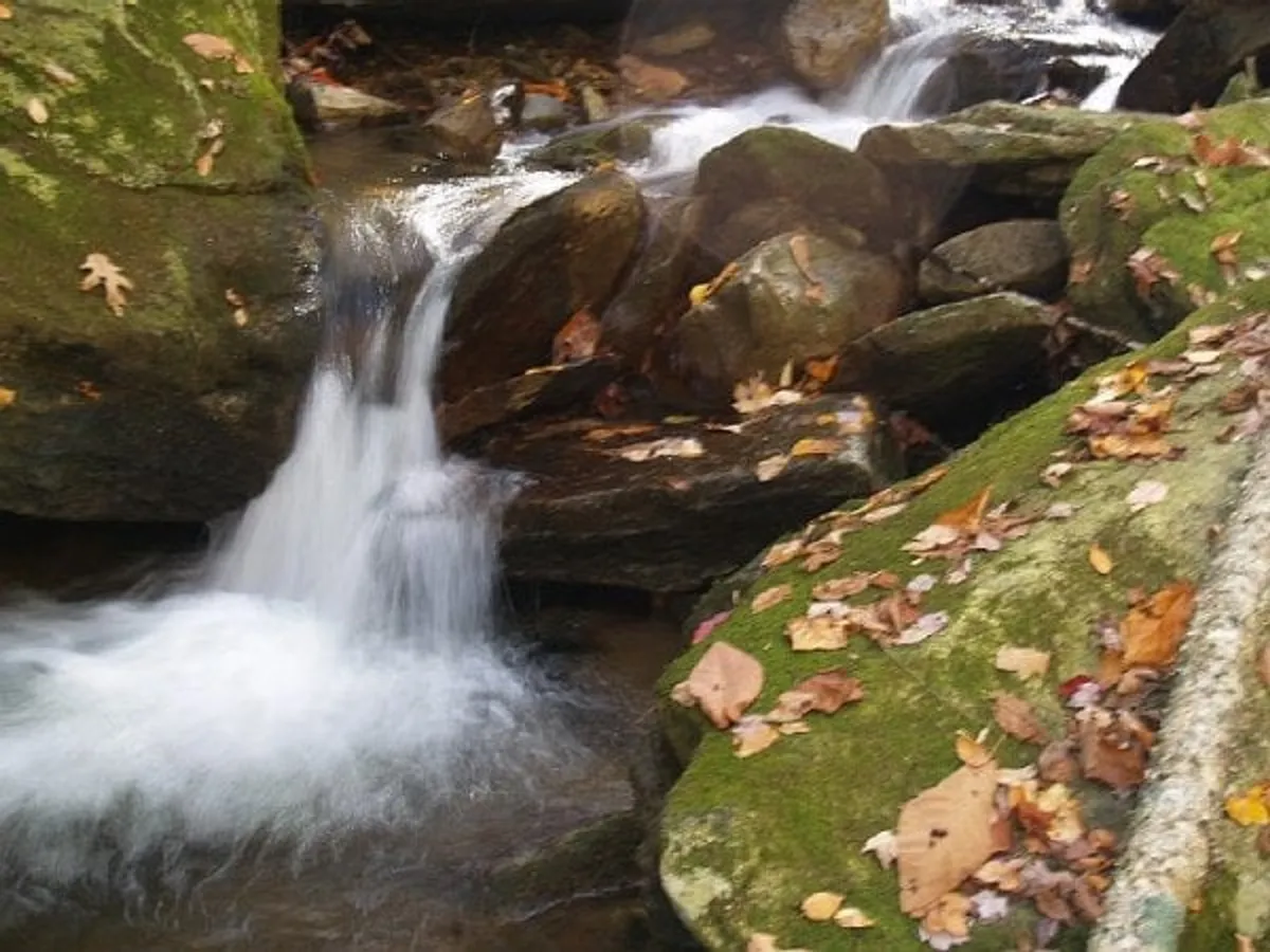 This image captures the gentle flow of Laurel Creek, bordered by smooth stones and lush green foliage. The tranquil scene invites quiet reflection and offers a beautiful natural backdrop ideal for romantic moments by the water.