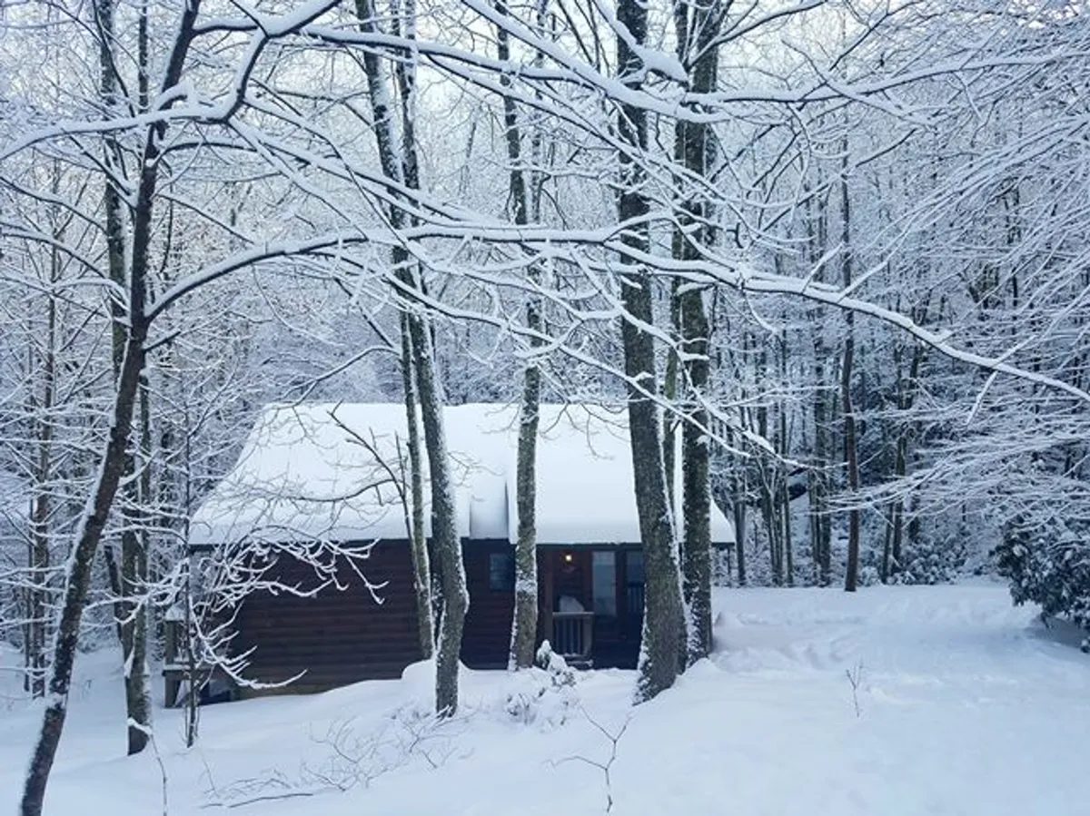 The cabin nestled among snow-laden trees, with a winding pathway leading up to it. The scene is peaceful and inviting, suggesting opportunities for winter walks and stargazing.