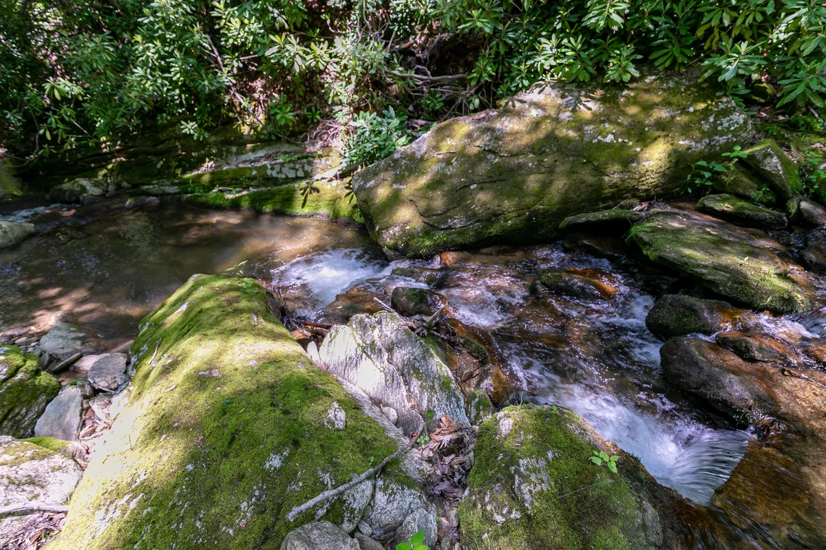 A gentle stream winds its way through moss-covered rocks and vibrant greenery, offering a sense of peace and seclusion. The scenic beauty invites exploration and quiet, intimate moments in a natural setting.